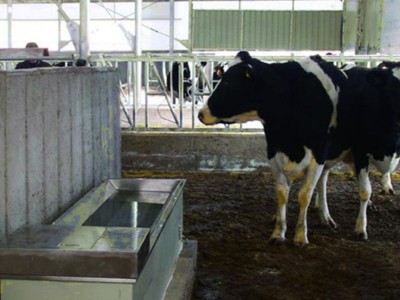 不銹鋼恒溫飲水槽