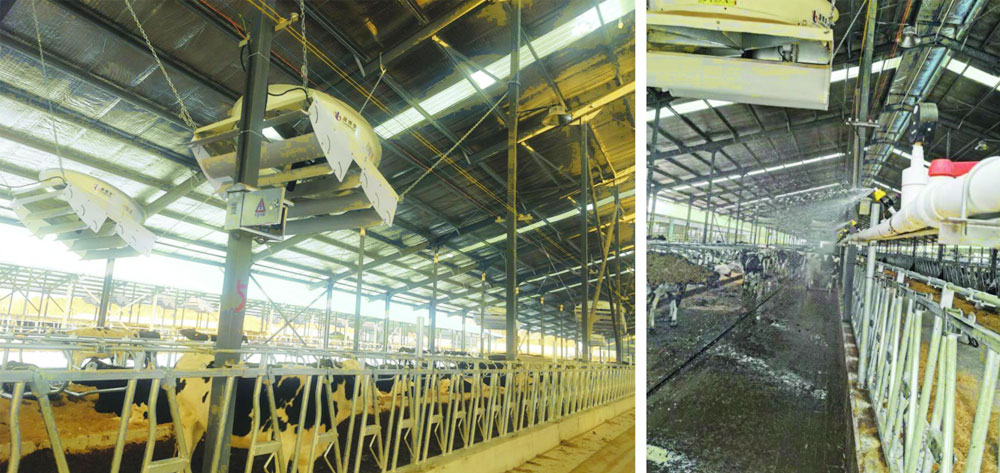 賽德龍風(fēng)機